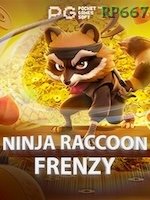 Ninja Raccoon Frenzy game cover